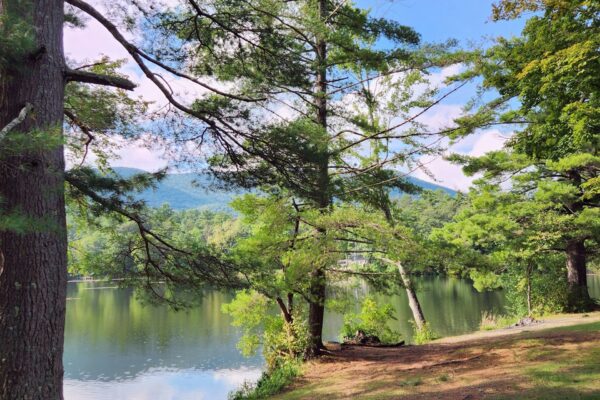 brian-urso-B6u_w_wvwGw-unsplash